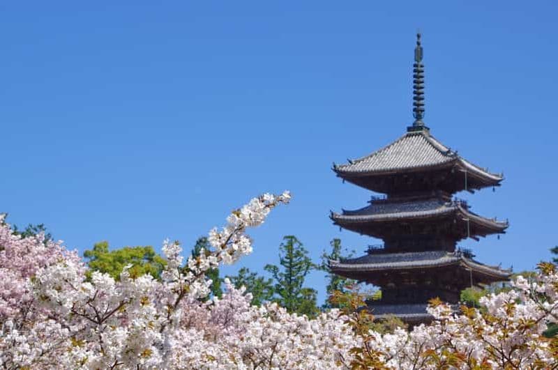 Billet Kyoto : visite de Ninna-ji, de sa magnifique pagode et de ses jardins (1h30)
