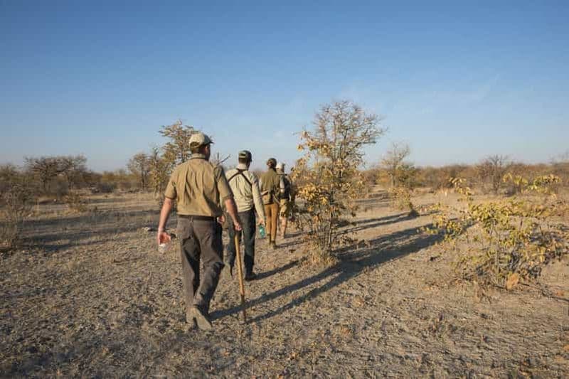 Billet Au départ de Windhoek : safari guidé d'une journée dans le parc national d'Etosha