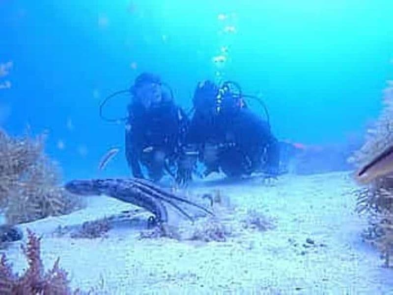 Billet Porto : ma première plongée sous-marine dans l'océan