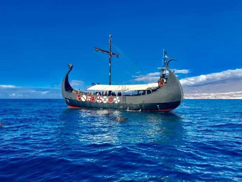 Billet Los Cristianos : Croisière Viking Observation des baleines et des dauphins