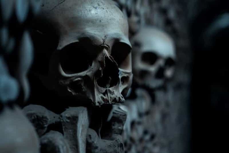 Billet Paris : catacombes, audioguide et croisière fluviale en option