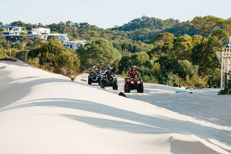 Billet L'île de Moreton : Excursion d'une journée à Tangalooma avec tour en quad quad