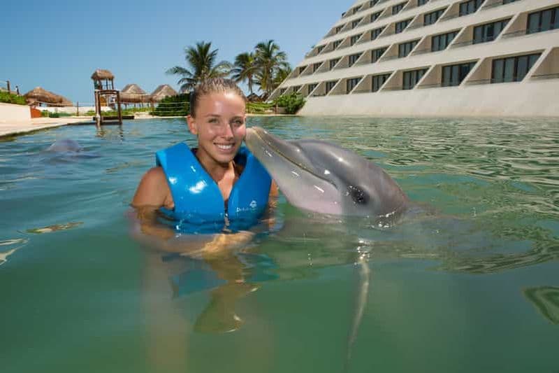 Billet Punta Cancún : Nagez avec les dauphins Primax