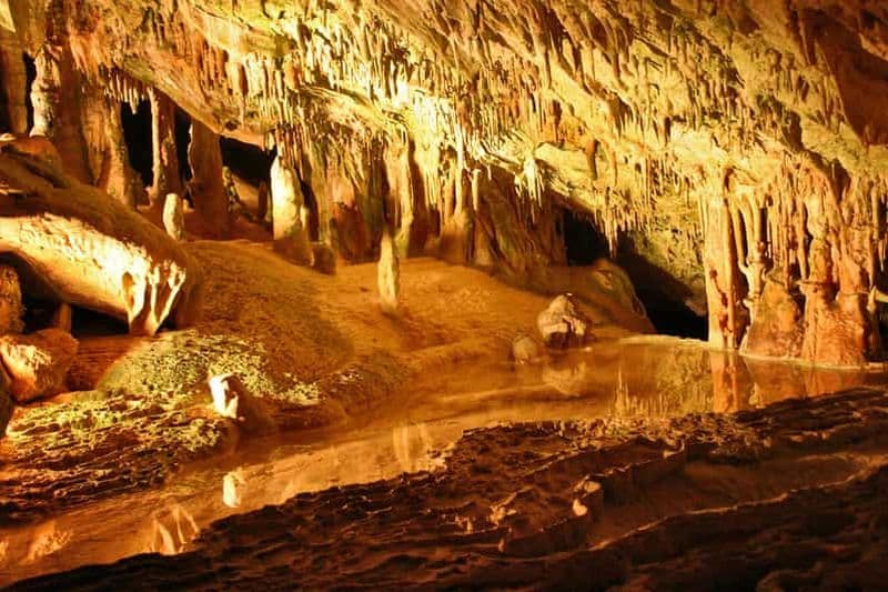 Billet Puerto de San Miguel : Visite guidée de la grotte de Can Marçá avec entrée