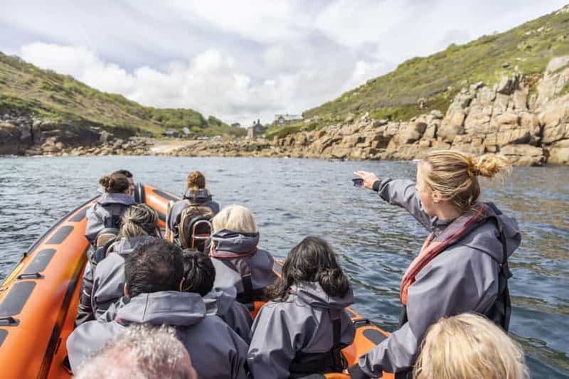 Billet Penzance : Tour en bateau de Land's End avec des guides de la faune et de la flore