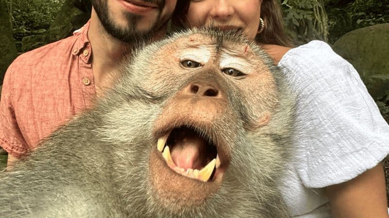 Billet Best of Experience visite d'une jounée à Ubud avec chauffeur privé