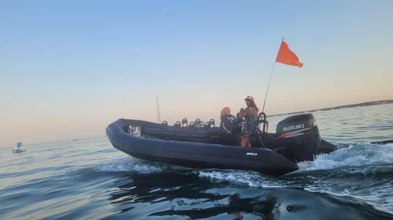 Billet Calanques de L'Estérel/Iles de Lérins: Excursion en bateau de Golfe Juan