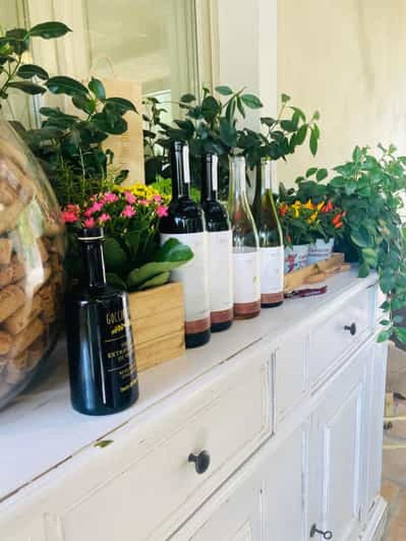 Billet Lucques - Dégustation de vin naturel à Tenuta Mareli