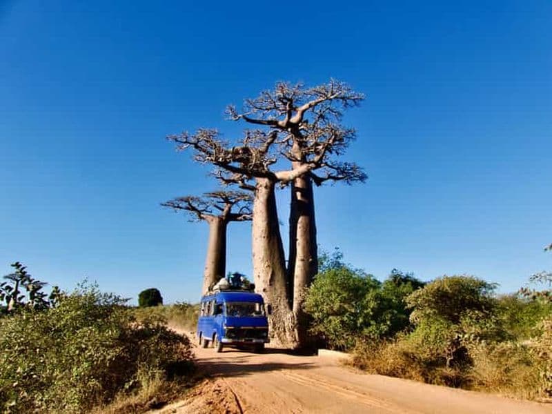 Billet Circuit de 8 jours à Morondava, Tsingy et Avenue des Baobabs