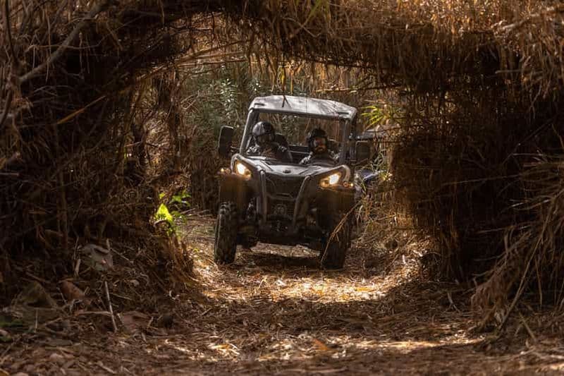 Billet Almancil : Aventure guidée en buggy tout-terrain en Algarve