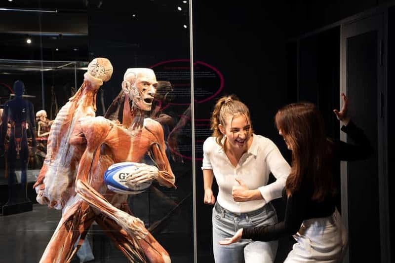 Billet Body Worlds Amsterdam : Le billet du Happiness Project
