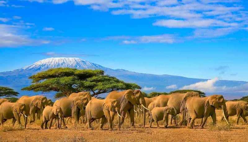 Billet Aventure de 4 jours dans le parc national d'Arusha, le Serengeti et le cratère du Ngorongoro