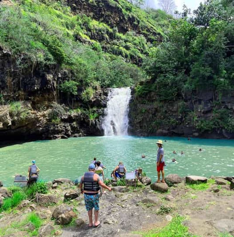 Billet Oahu : Vallée des chutes de Waimea : baignade et randonnée avec déjeuner et Dole