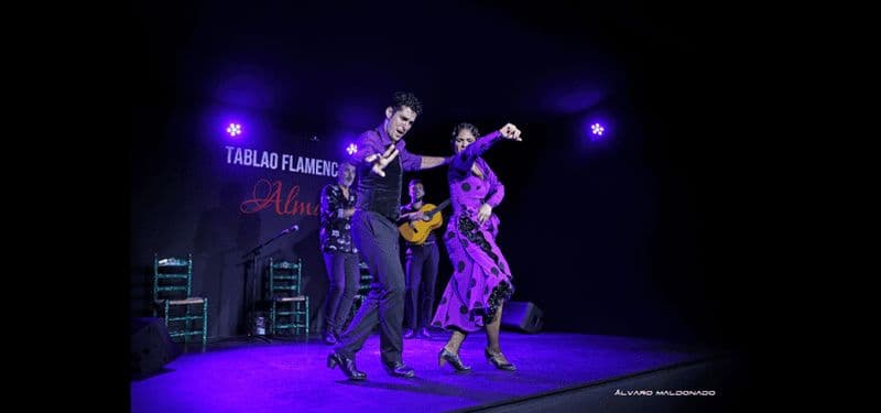 Billet Palma : Spectacle de flamenco au Tablao Flamenco Alma avec boisson