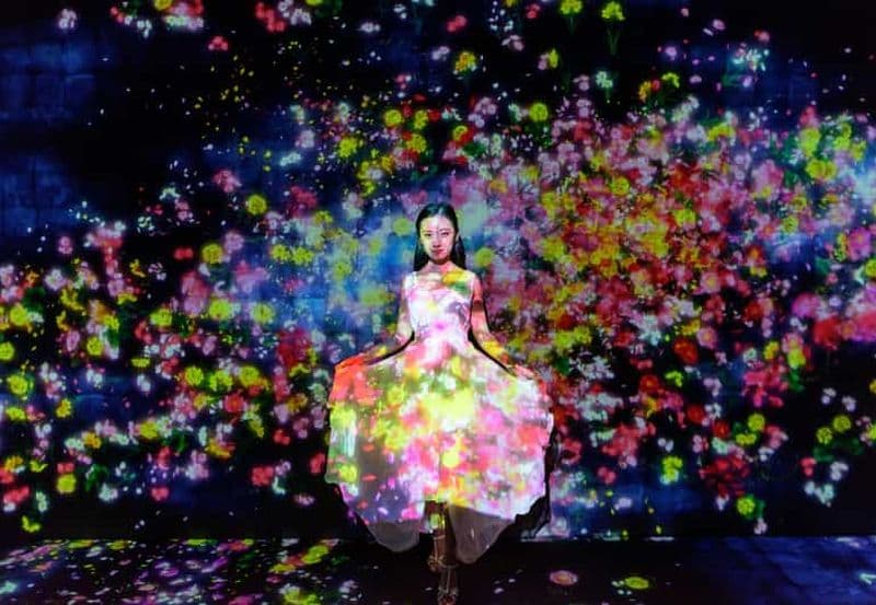 Billet Tokyo : visite guidée de teamLab Planets et du marché aux poissons de Toyosu