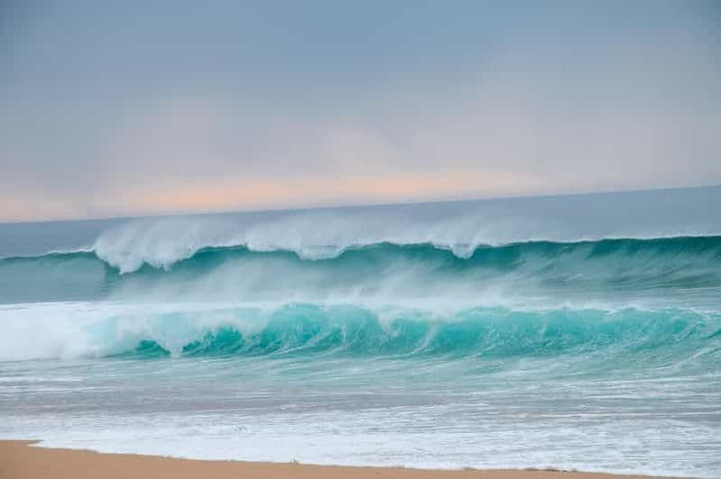 Billet Depuis Evora : Randonnée à cheval sur la plage de comporta