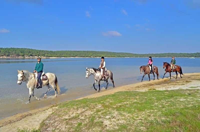 Billet Lisbonne : balade à cheval sur la plage avec déjeuner