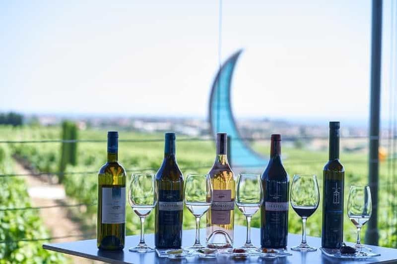 Billet Dégustation de vin privée et visite du musée du vin au départ de Thessalonique