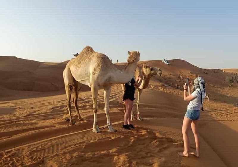 Billet Dubaï : safari dans les dunes, barbecue et spectacles