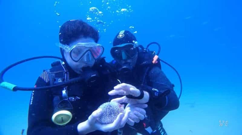 Billet Ma première plongée sous-marine dans l'océan au large de Madère