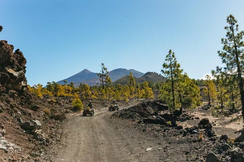 Billet Depuis Costa Adeje : Excursion en quad hors route dans la forêt du mont Teide