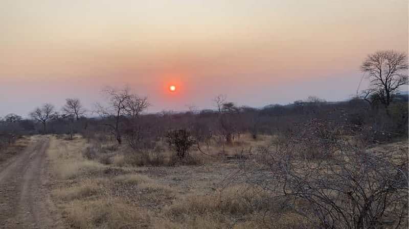 Billet Safari en groupe à Ruaha, 3 jours et 2 nuits