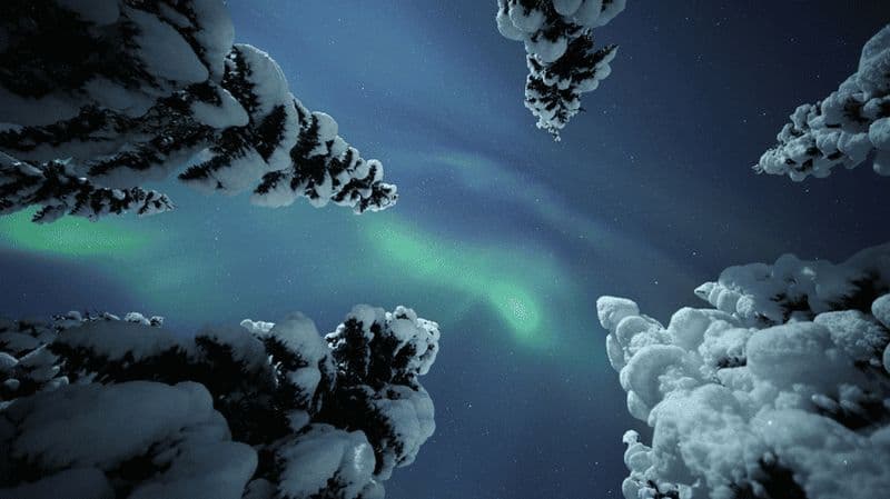 Billet Chasse aux aurores boréales en raquettes dans la nature (pour adultes uniquement)