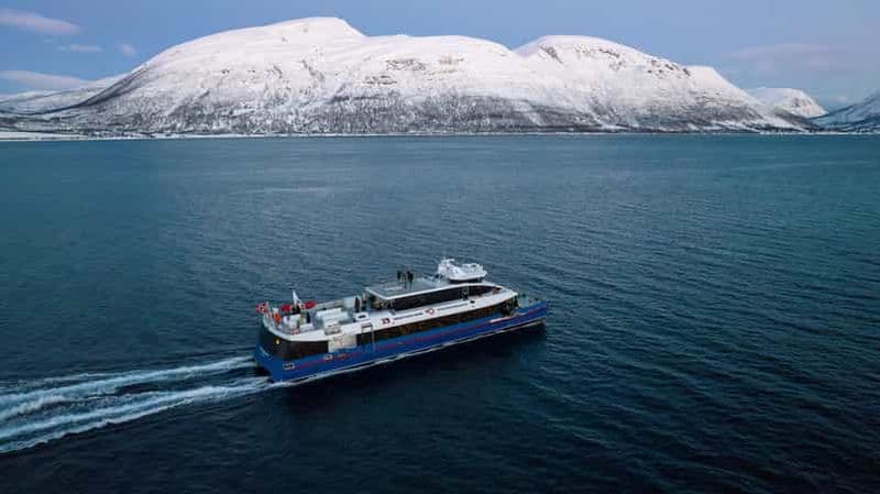 Billet Au départ de Tromsø : Safari d'observation des baleines en catamaran à grande vitesse
