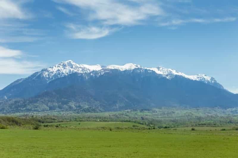 Billet Depuis Bucarest : Excursion d'une journée au Sanctuaire des ours et au Canyon des 7 échelles