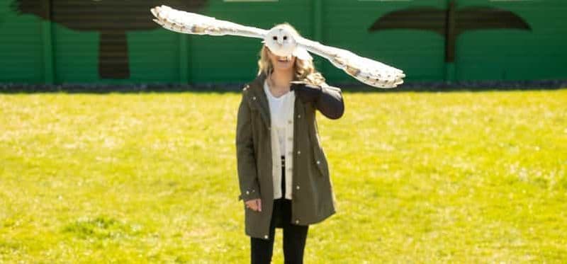 Billet Depuis Dublin : les falaises de Moher, le Bird of Prey et la grotte d'Aillwee