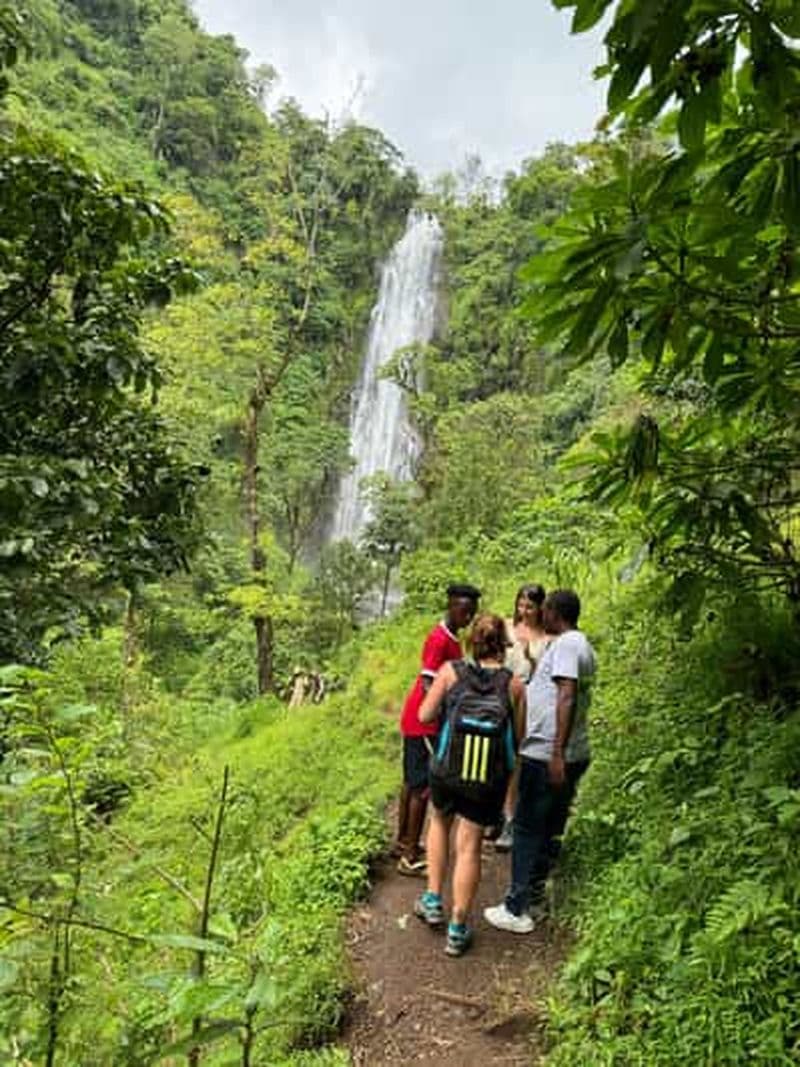 Billet Sources thermales de Chemka, chute d'eau de Materuni, visite du café