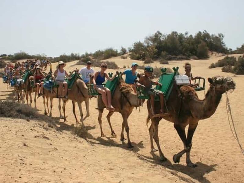 Billet Maspalomas : balade à dos de chameau dans les dunes de sable