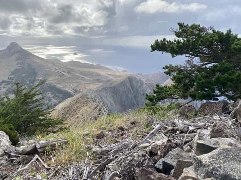 Billet Porto Santo : randonnée guidée dans les montagnes du Pico Branco et de Terra Cha