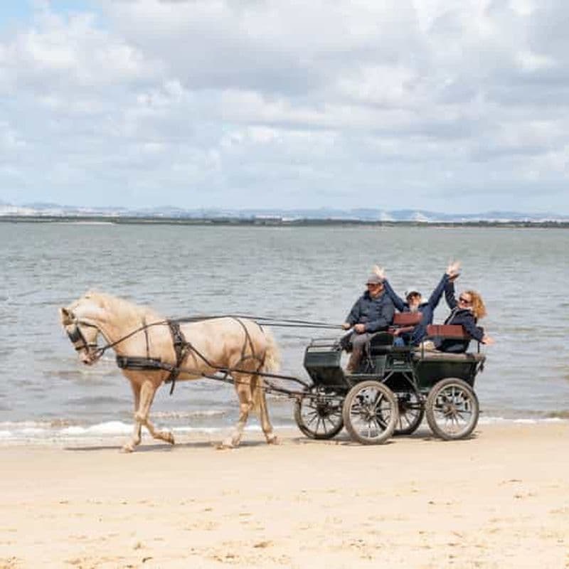 Billet Promenade en calèche sur la plage (plage de Rosário)