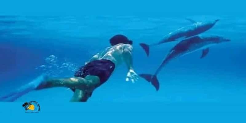 Billet Nungwi : excursion pour observer les dauphins et faire de la plongée avec tuba dans l'atoll de Mnemba