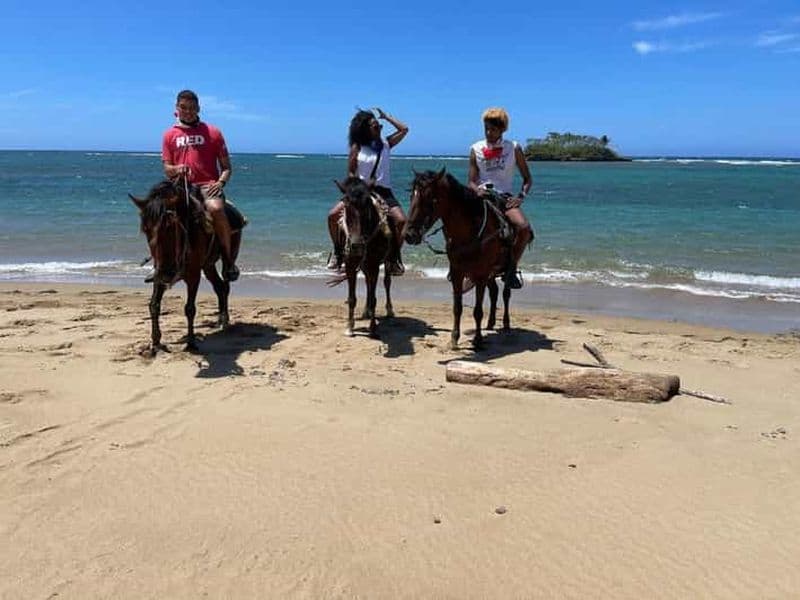 Billet Puerto Plata : Randonnée à cheval