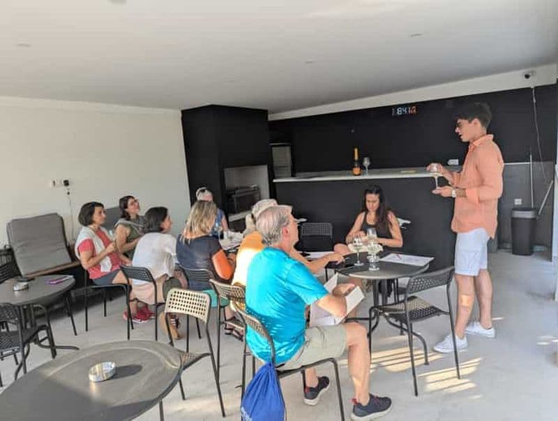 Billet Novi Sad : dégustation de vins de Fruška Gora accompagnée de bouchées locales