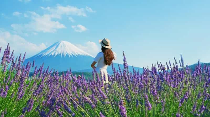 Billet Tokyo : visite des sites incontournables du mont Fuji - 5e station et lac Yamanaka