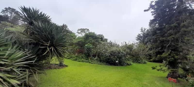 Billet Nairobi : visite d'une demi-journée de la ferme de thé Kiambethu avec dégustation de thé.