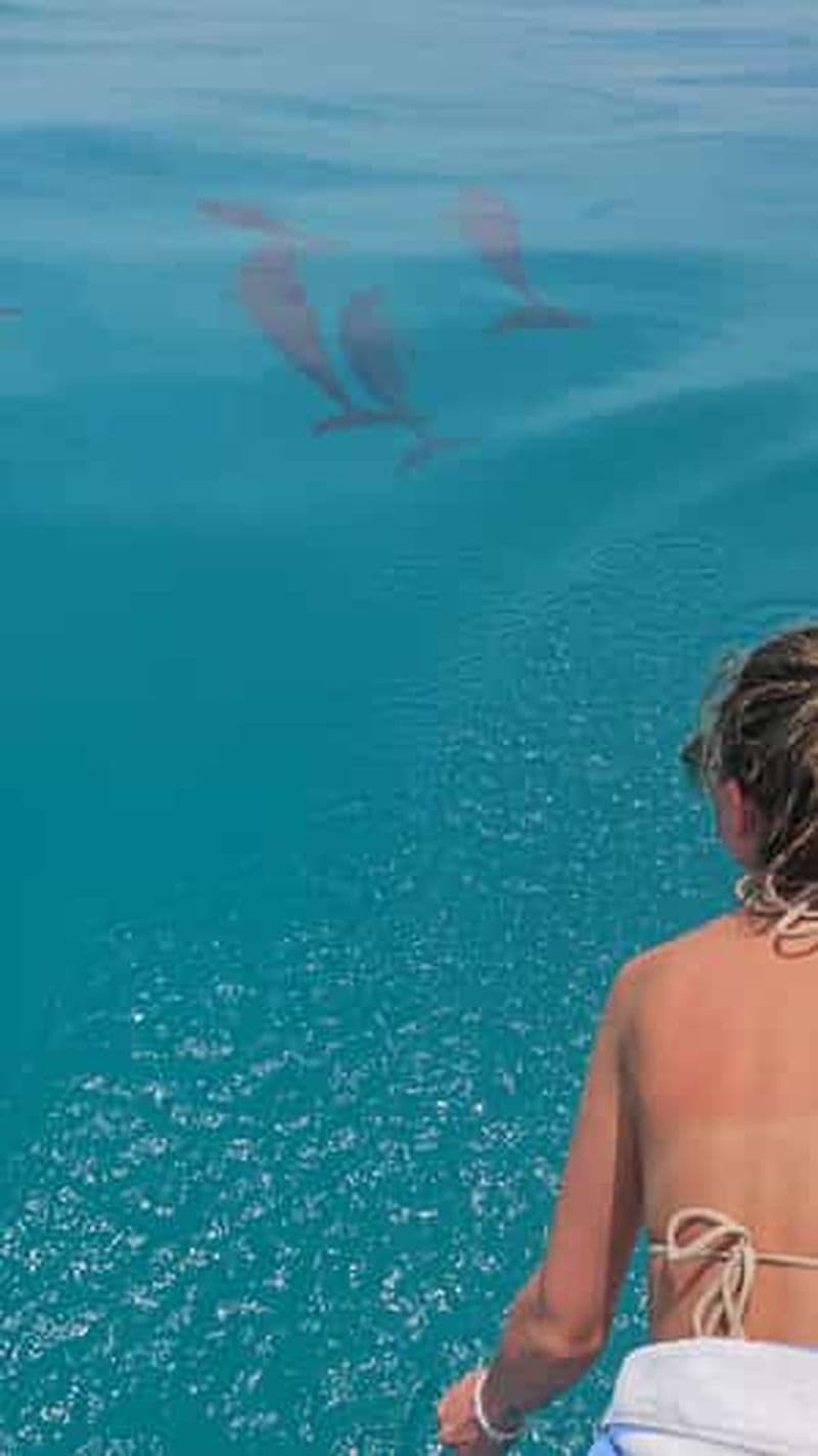 Billet Croisière partagée au coucher du soleil avec les dauphins à Dhiffushi, aux Maldives