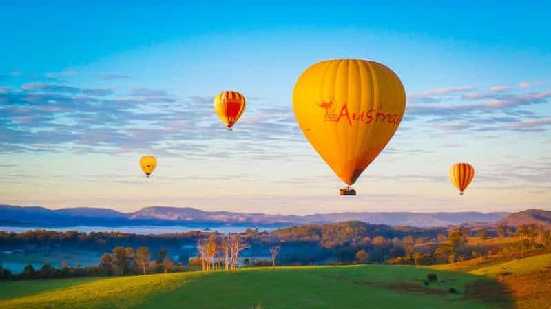 Billet Gold Coast : vol en montgolfière, petit-déjeuner au vignoble et alpaga