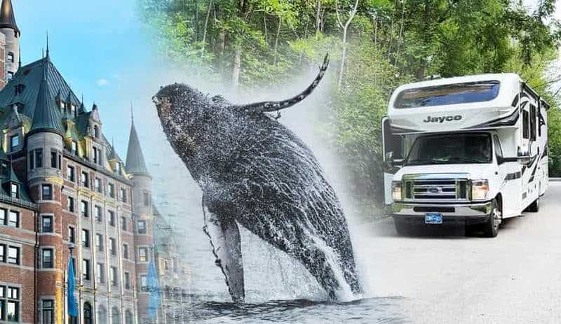 Billet Explorez le Québec : Circuit de 5 jours en autocaravane et observation des baleines