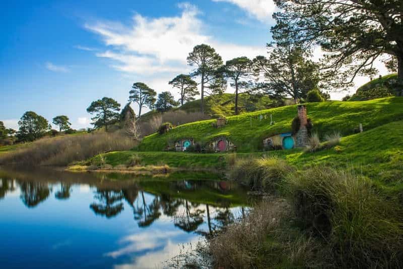 Billet Au départ d'Auckland : Excursion d'une journée complète en petit groupe sur le plateau de tournage de Hobbiton