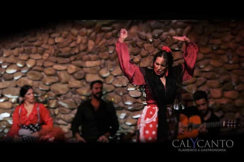 Billet Malaga : spectacle de flamenco authentique à El Gallo Ronco