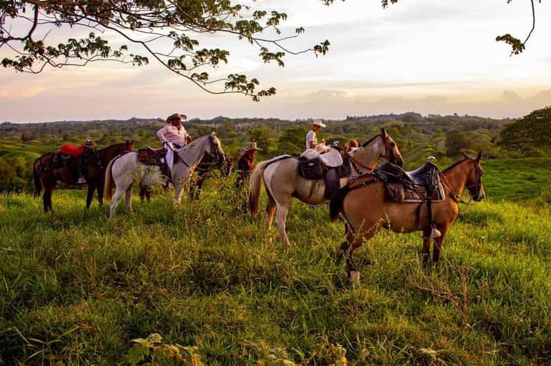 Billet Depuis Medellin ; (Tout compris) La véritable expérience d'un ranch à cheval