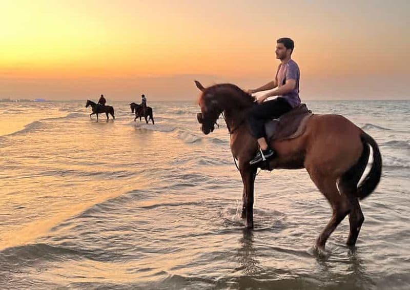 Billet Au départ de Mascate : promenade à cheval sur la plage