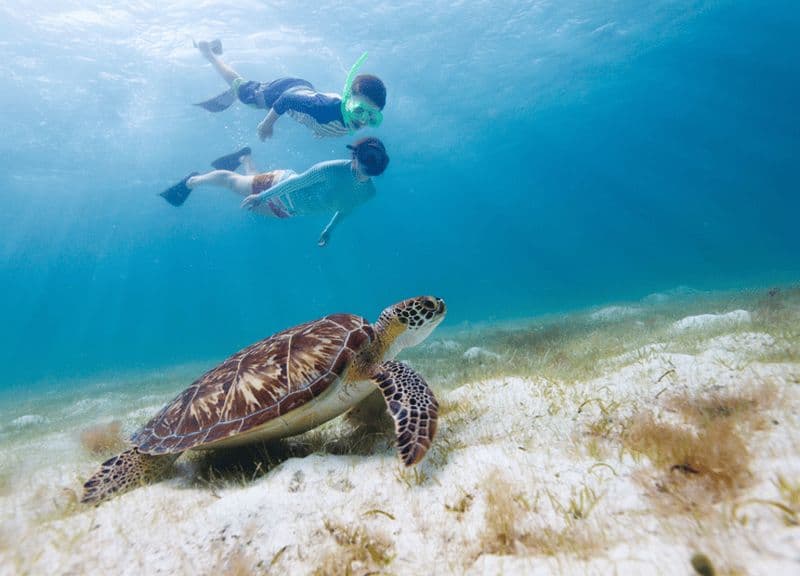 Billet Bali/Nusa Penida : Plongée avec masque et tuba à Manta et visite de la plage de Kelingking