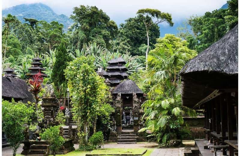 Billet Bali : visite du village des oiseaux, du temple Batukaru et des rizières en terrasses