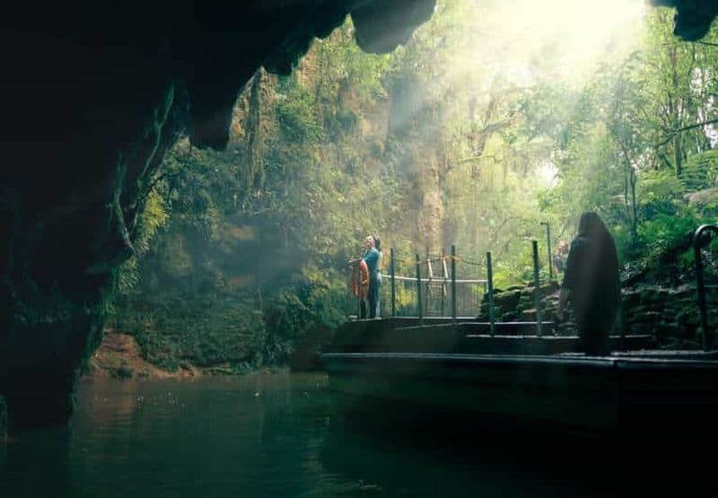 Billet Auckland : excursion aller simple à Rotorua avec les grottes de Waitomo