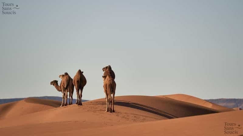 Billet De Djerba : stars wars et Coucher de soleil au désert de Tataouine